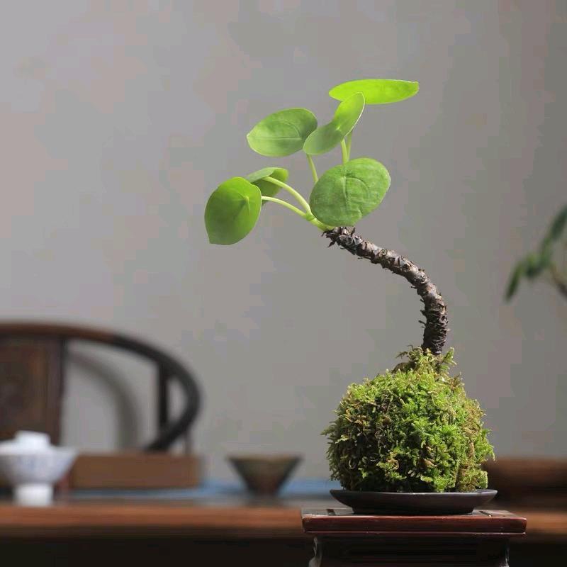 花与禅
