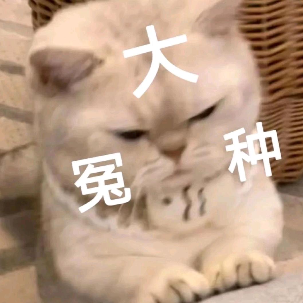 小高不吃胡萝卜🥕