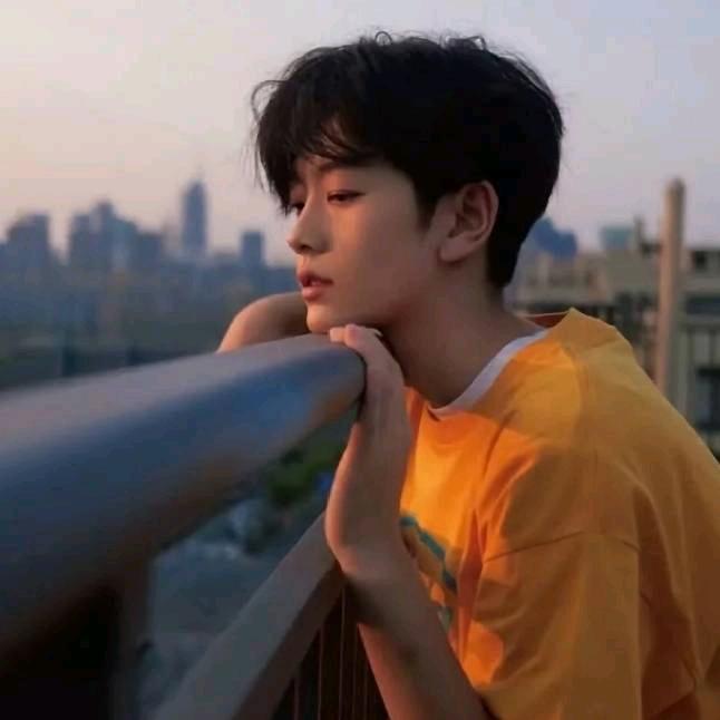 小老猫（努力版）