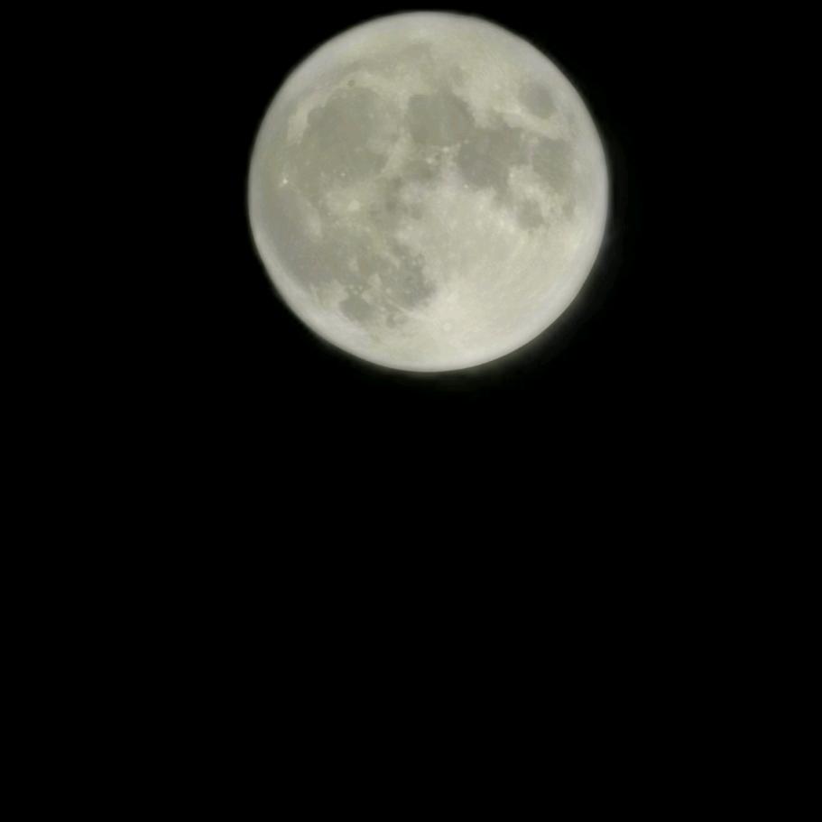 欧阳枫