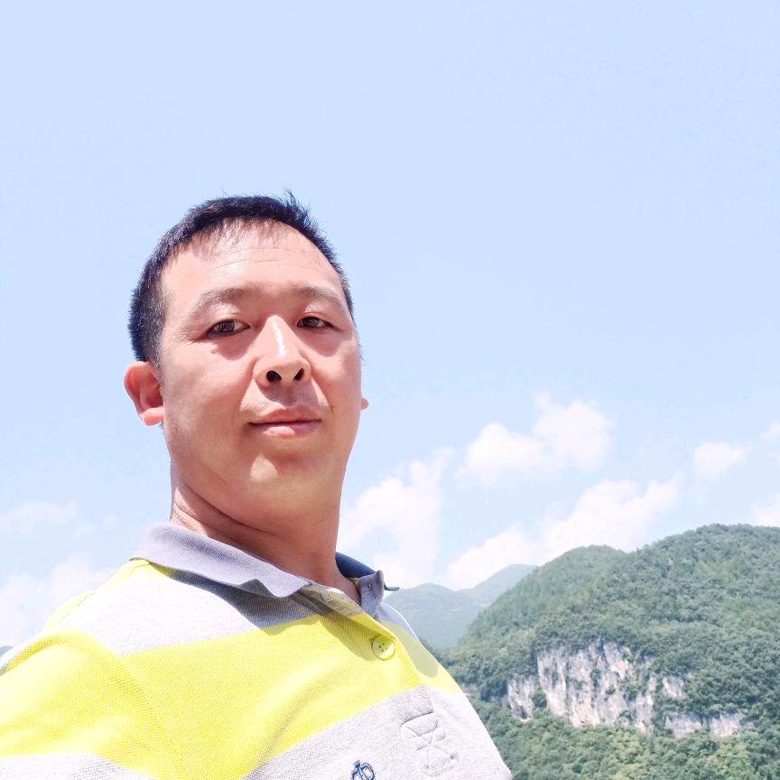 金秋的树叶