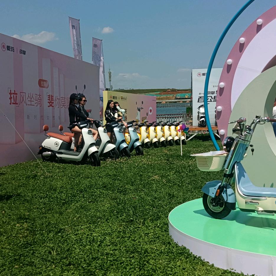 王师西南国际商贸城爱玛店