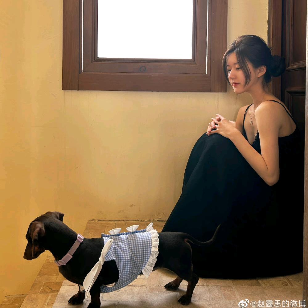 种了两颗豆角