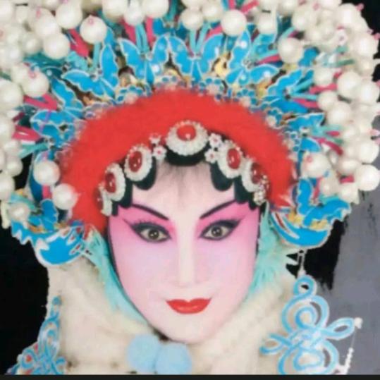 豫剧丰美丽