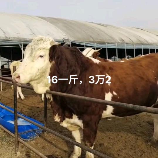 寿光市会江生鲜商行
