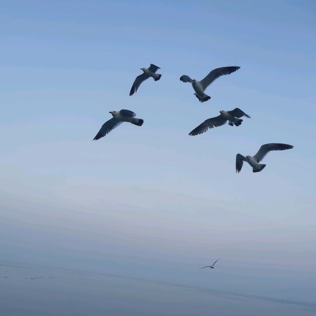 天