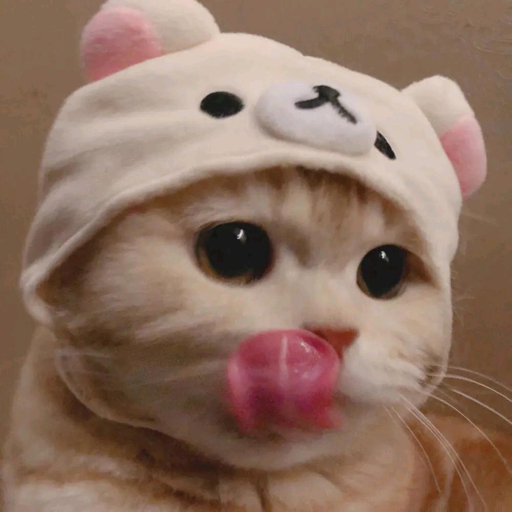 怪怪学做菜