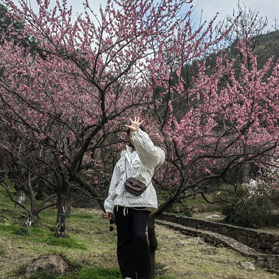 悦乐