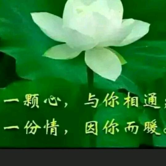🌹一生有你🌹