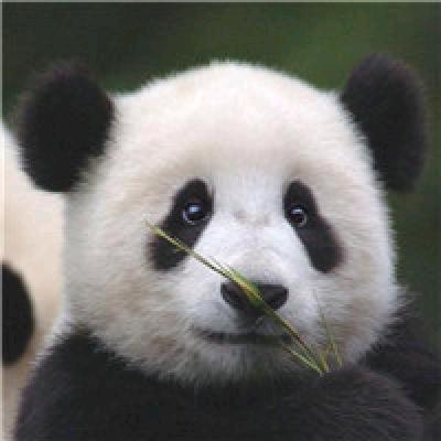 旺仔牛奶