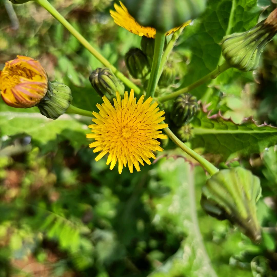 ❤️欣+启+迪❤️