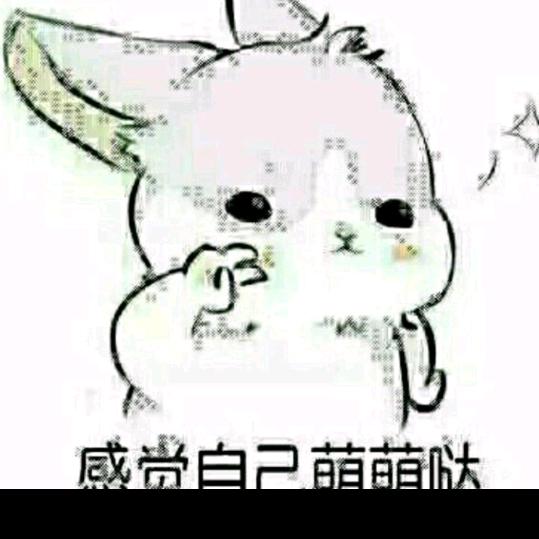 安阳开心兔