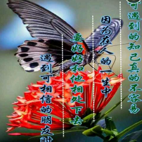 你开心我快乐