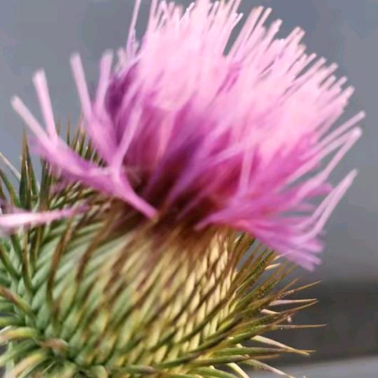 👉以后再说👈