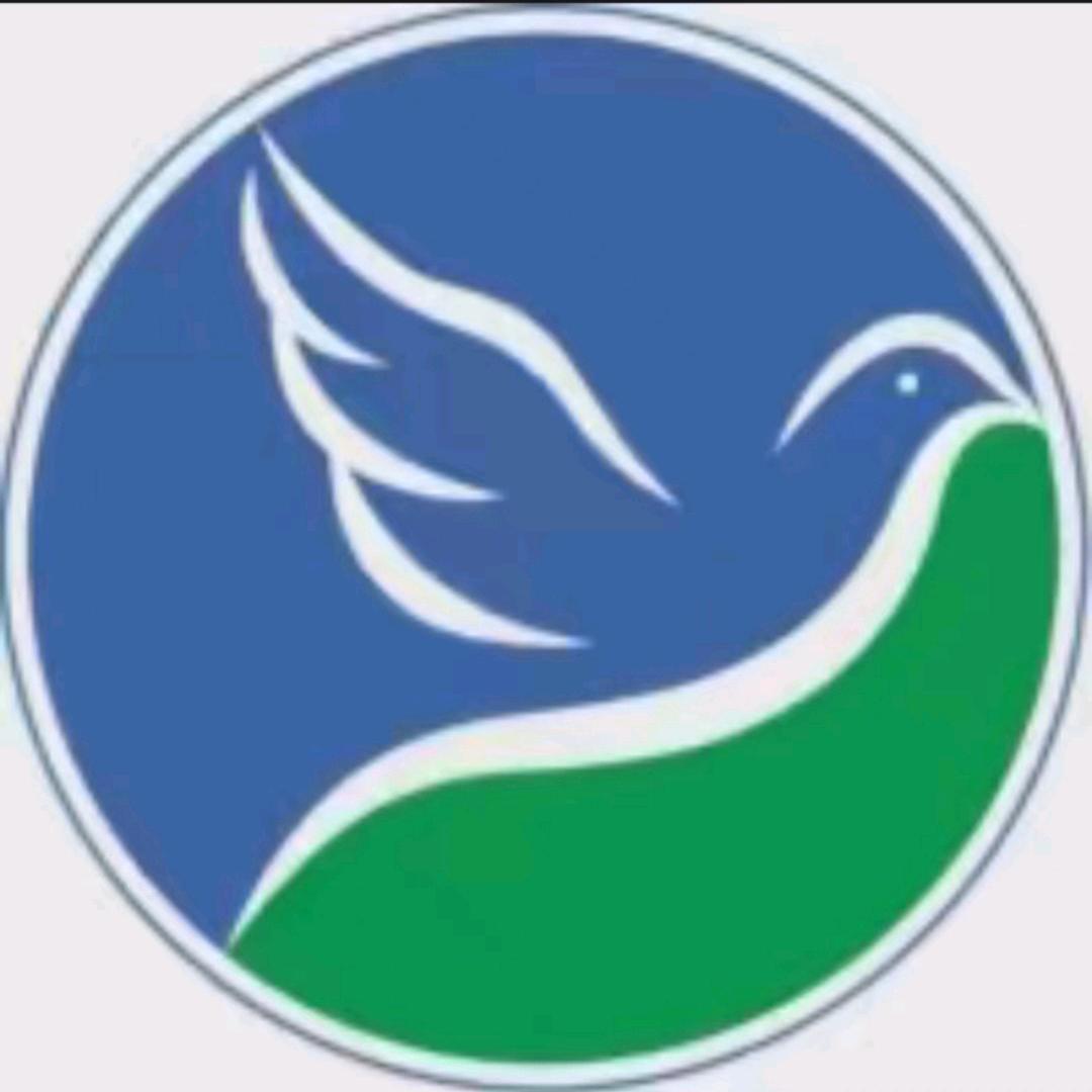 职业养鸽人经验分享