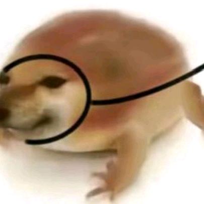 狗蛙