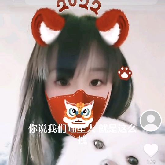 溧阳家养博美，（接家庭寄养）