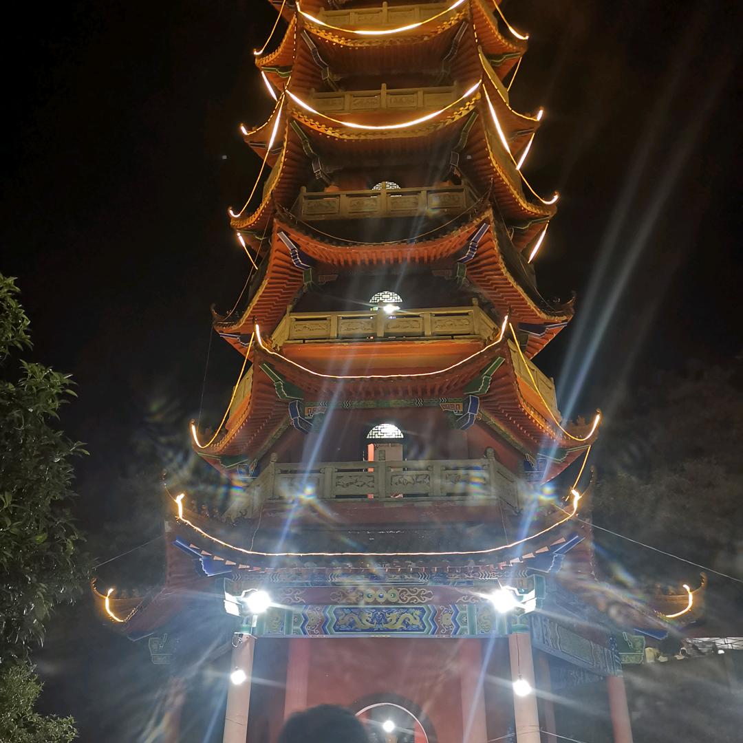 心酸的历程有谁能懂