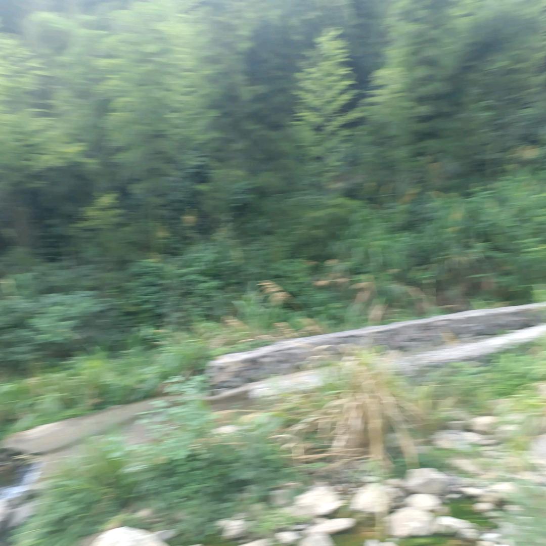 用户知足