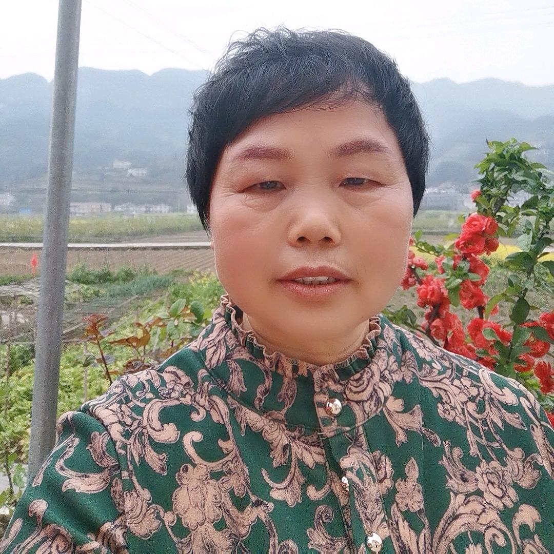 芒果布丁