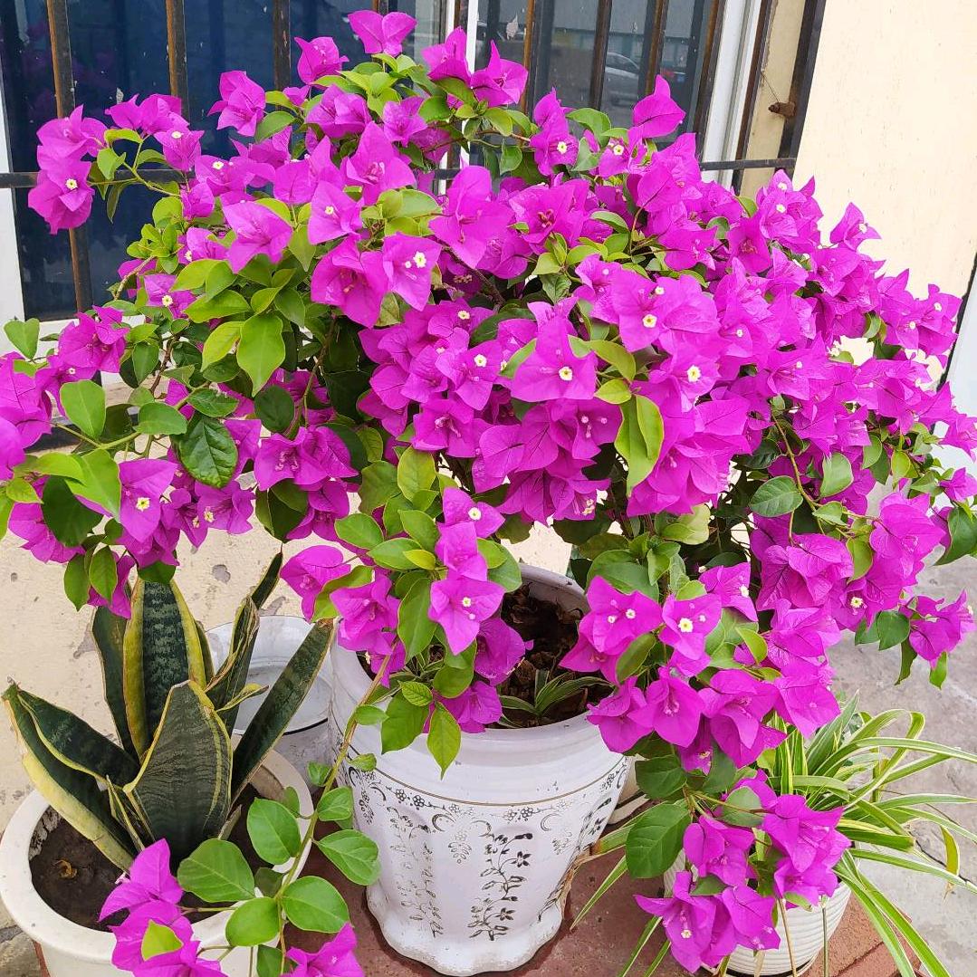 不珍惜你的人何必去珍惜