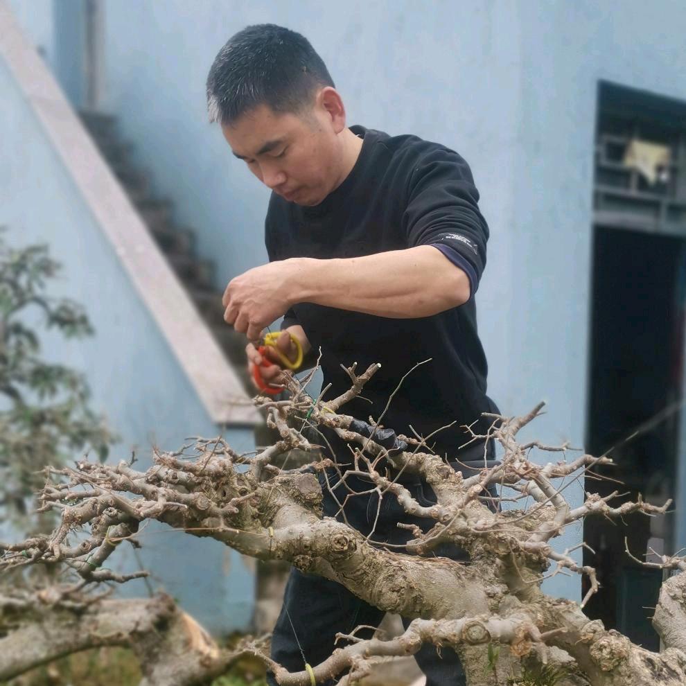 山水人间