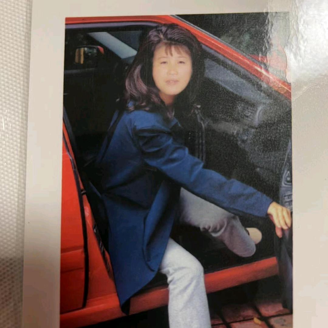 桂厂菊