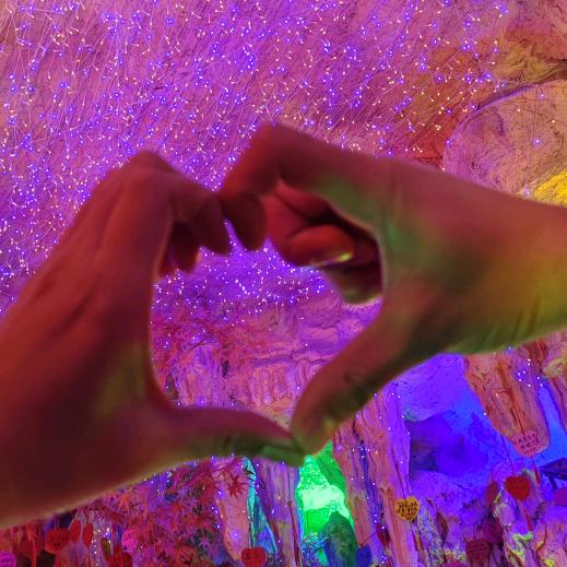 成都租房假老练