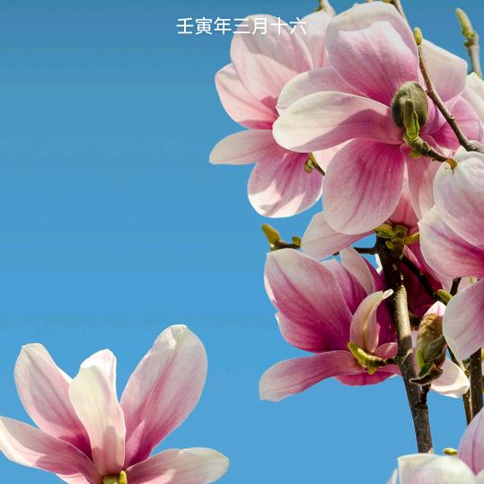 平平安安就是福