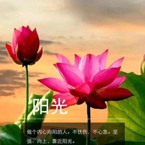 福慧双修💖慧