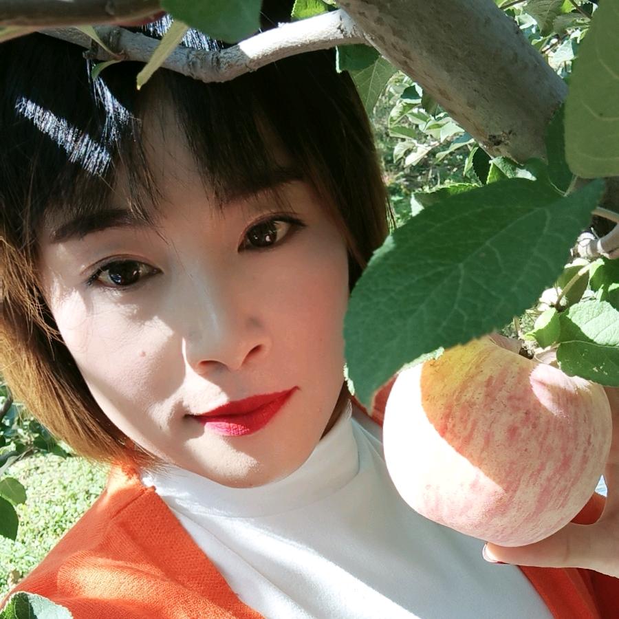 洛川苹果孙姐（果袋销售）