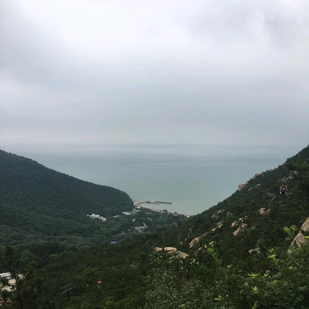 闹闹