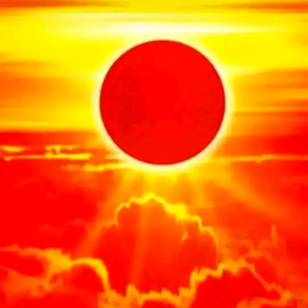 UCC国际洗衣(美丽家园店)大漠