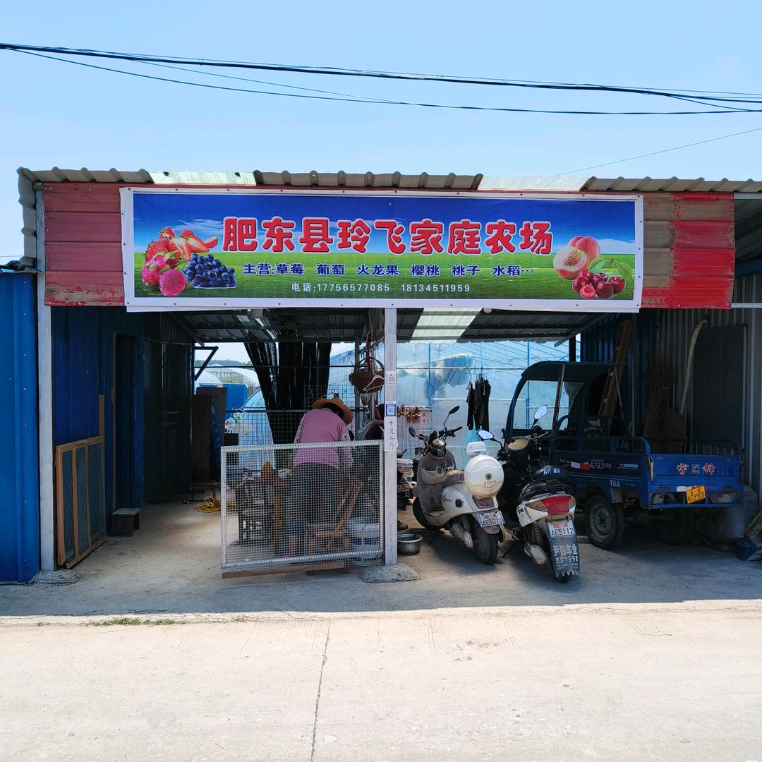 肥东县玲飞家庭农场