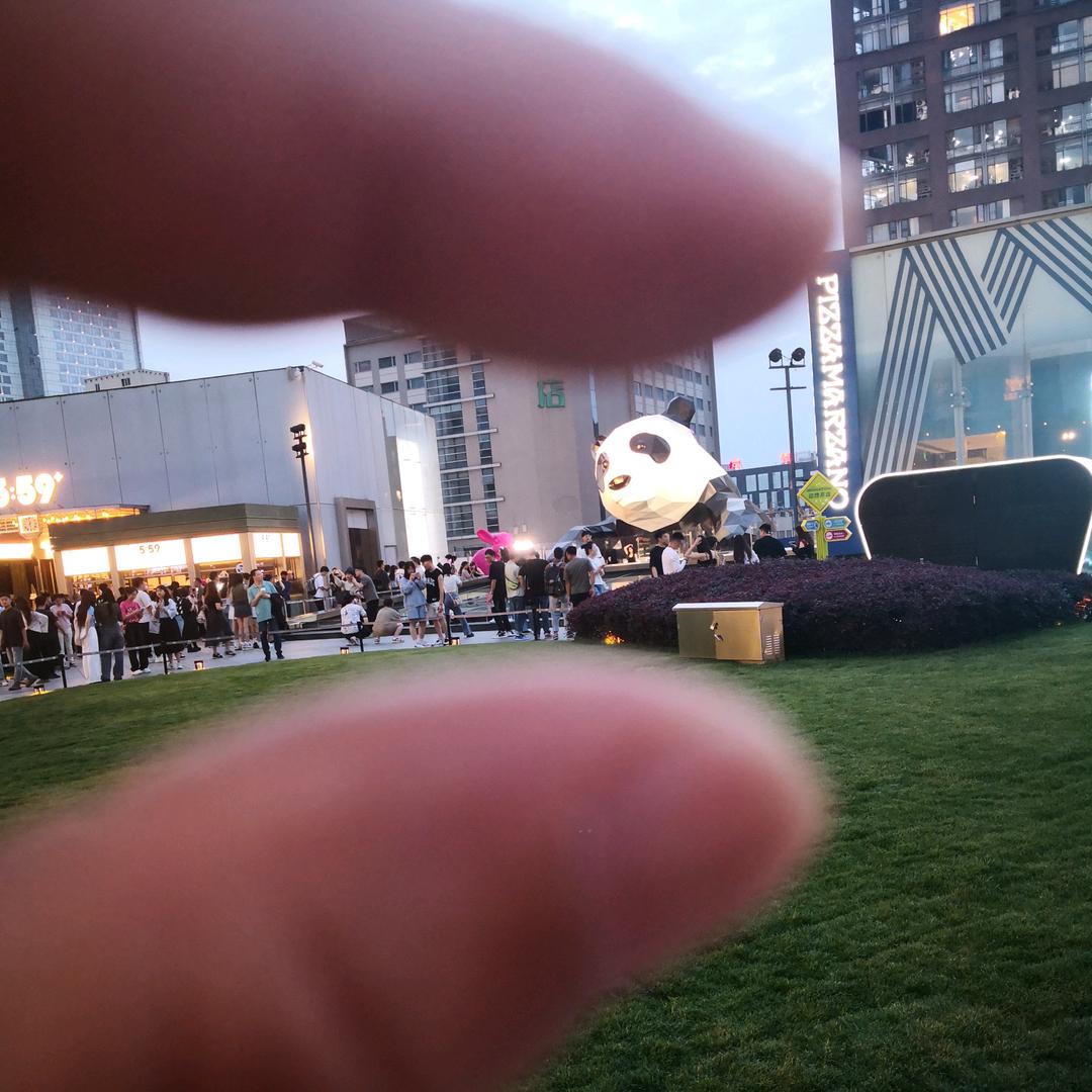 月光下的菩提树