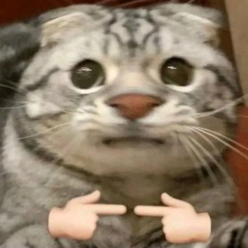 🍀沉默之风暴💫🈵mio