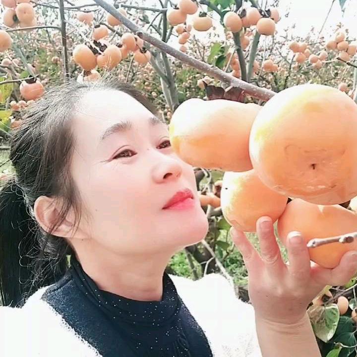 平乐县陈菇凉土特产店