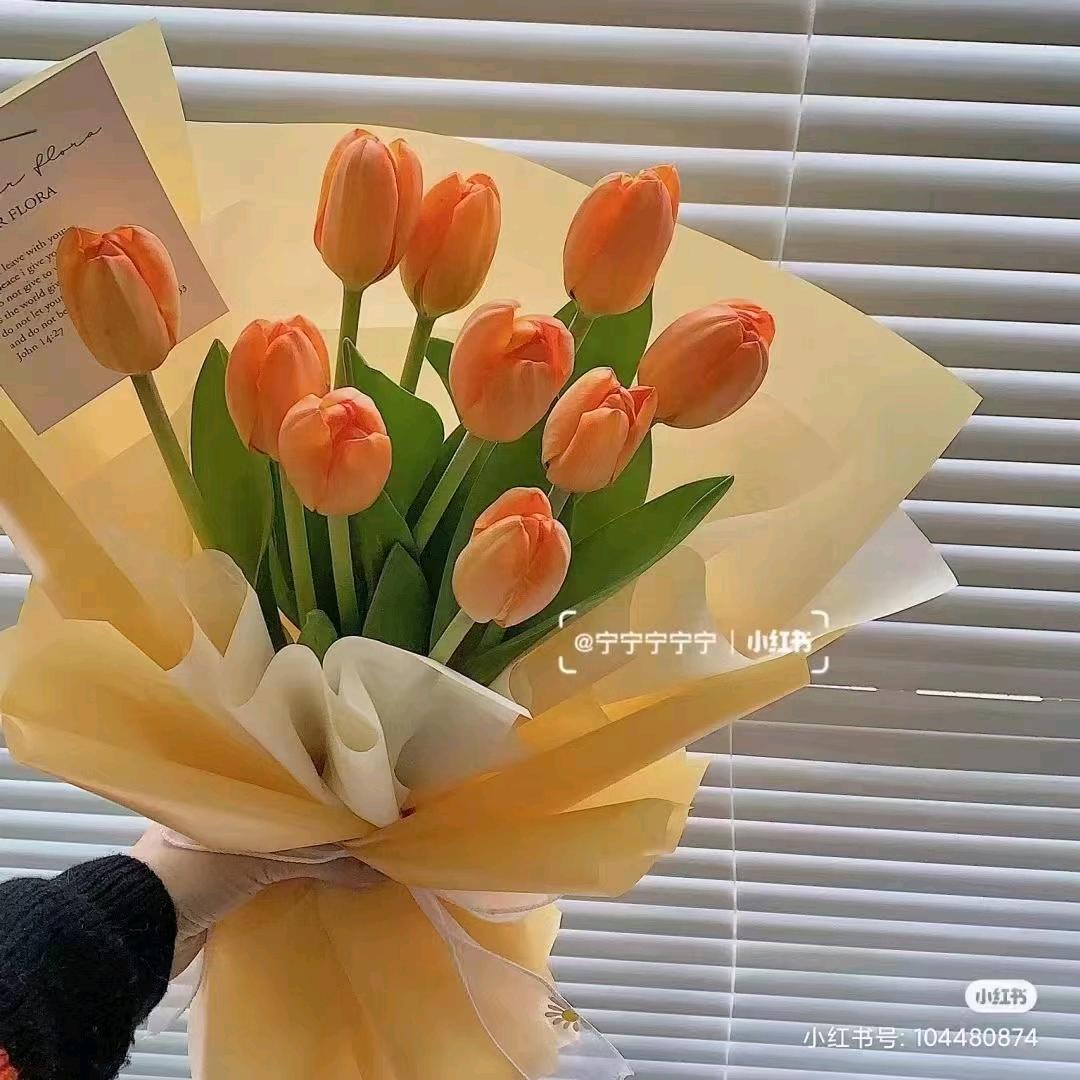 往事不堪回首生活号，