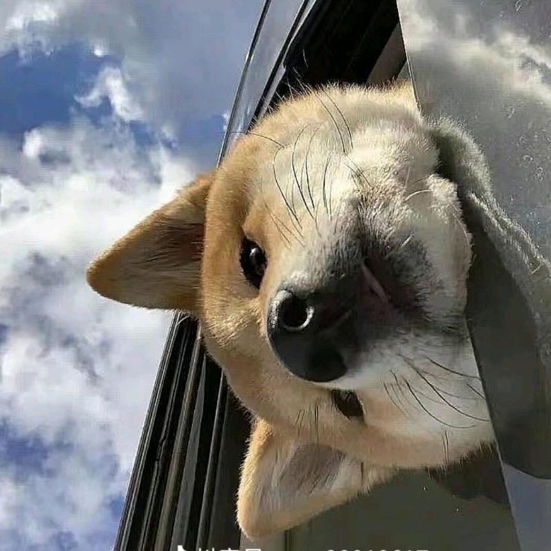 想念♡