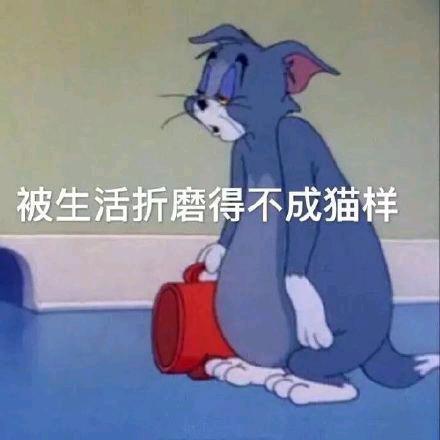 搬砖奥特曼