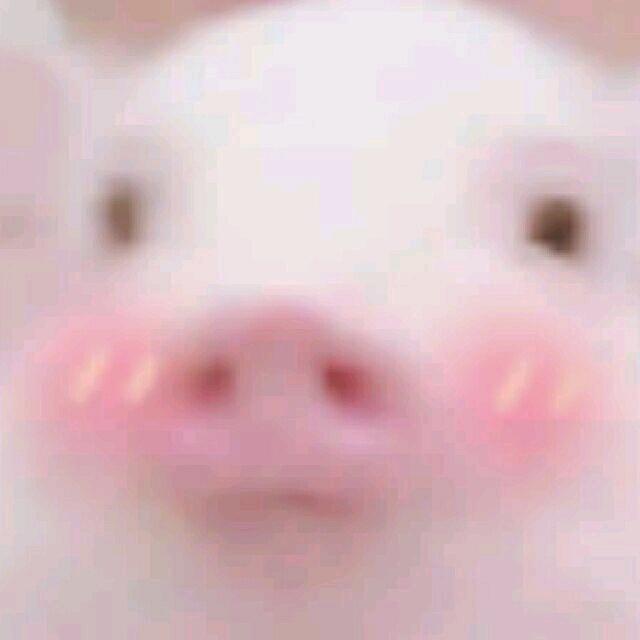 小妮子