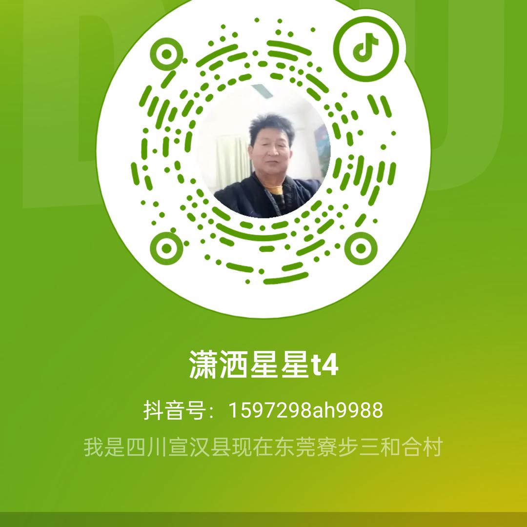 潇洒星星t4