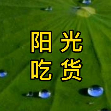 阳光吃货