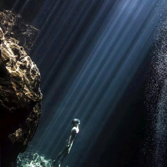 🐉肥羊不肥🦆