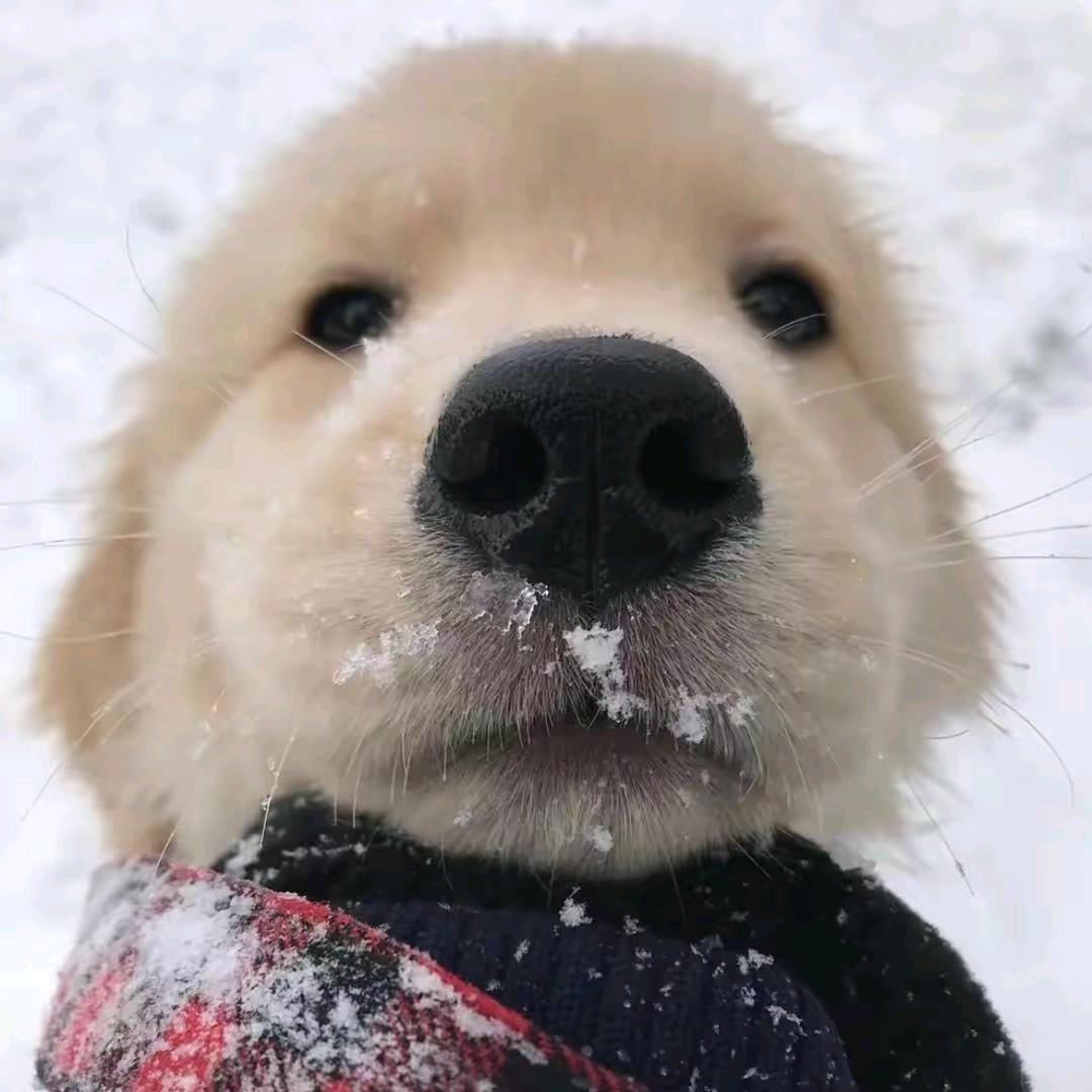 你今天早睡了吗