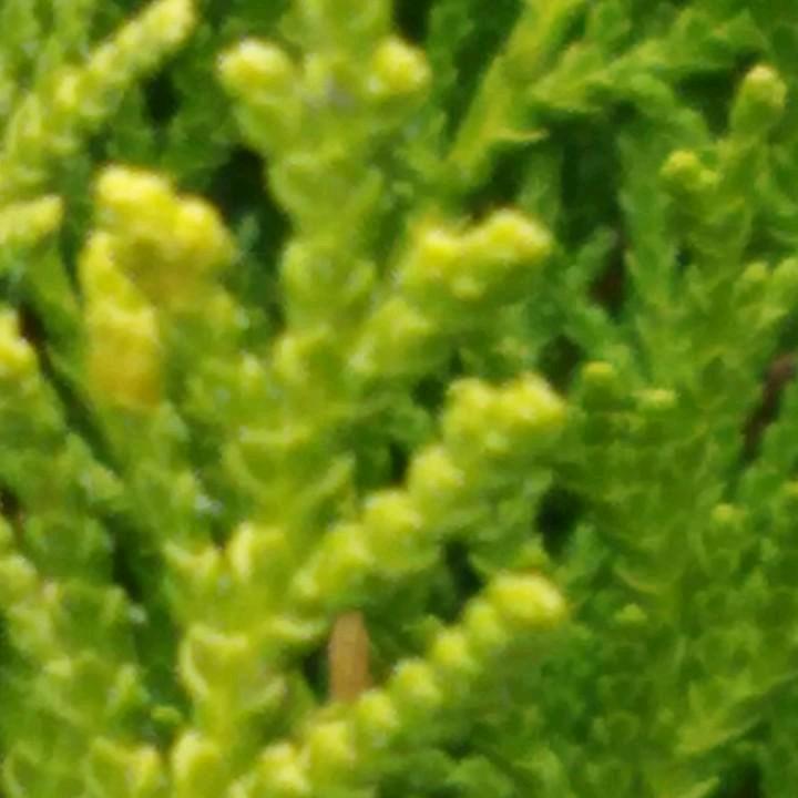 时间并非良药