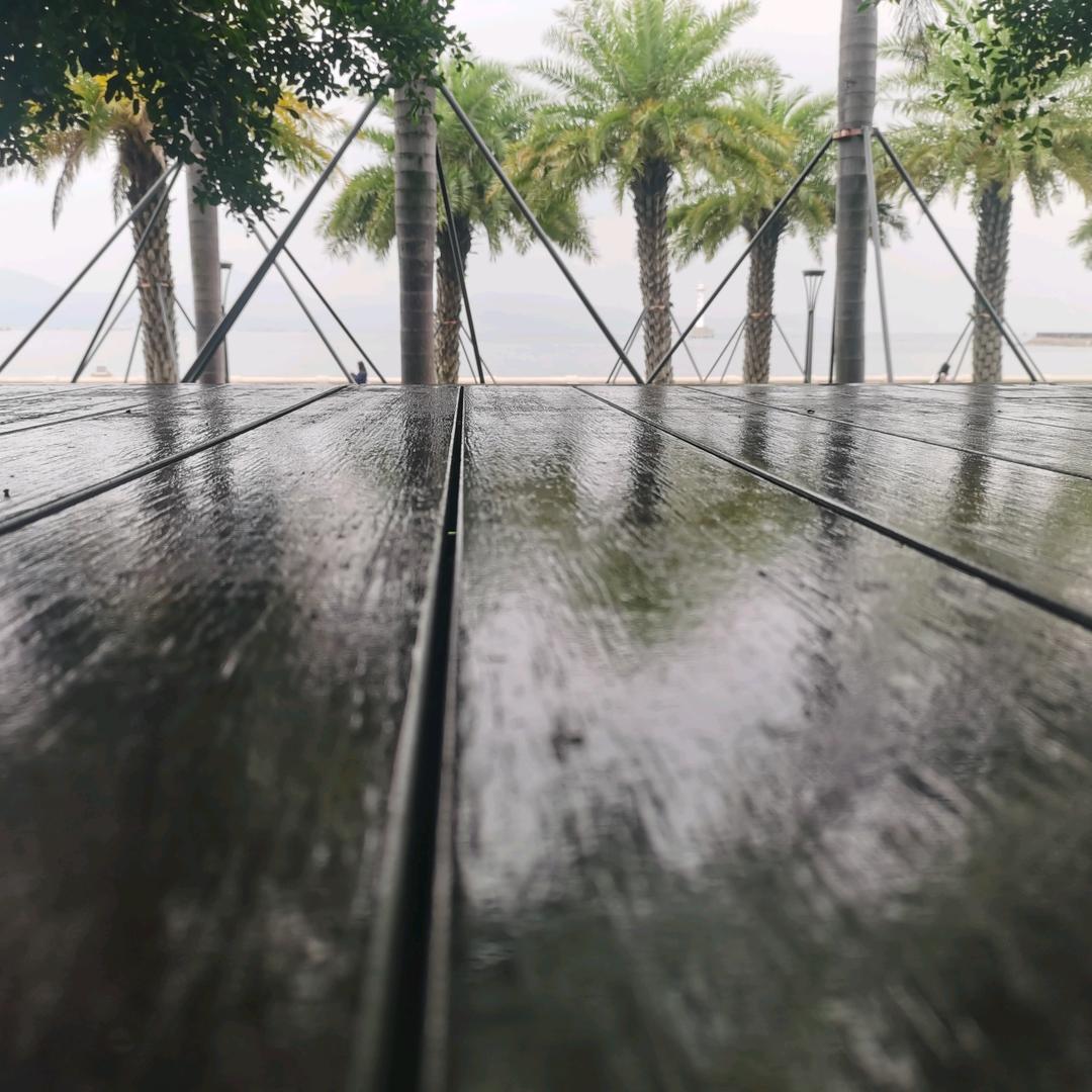 在广东的兰陵人🧑‍🧒