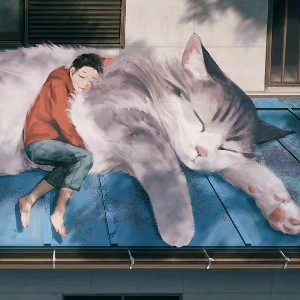 花店里不止有花