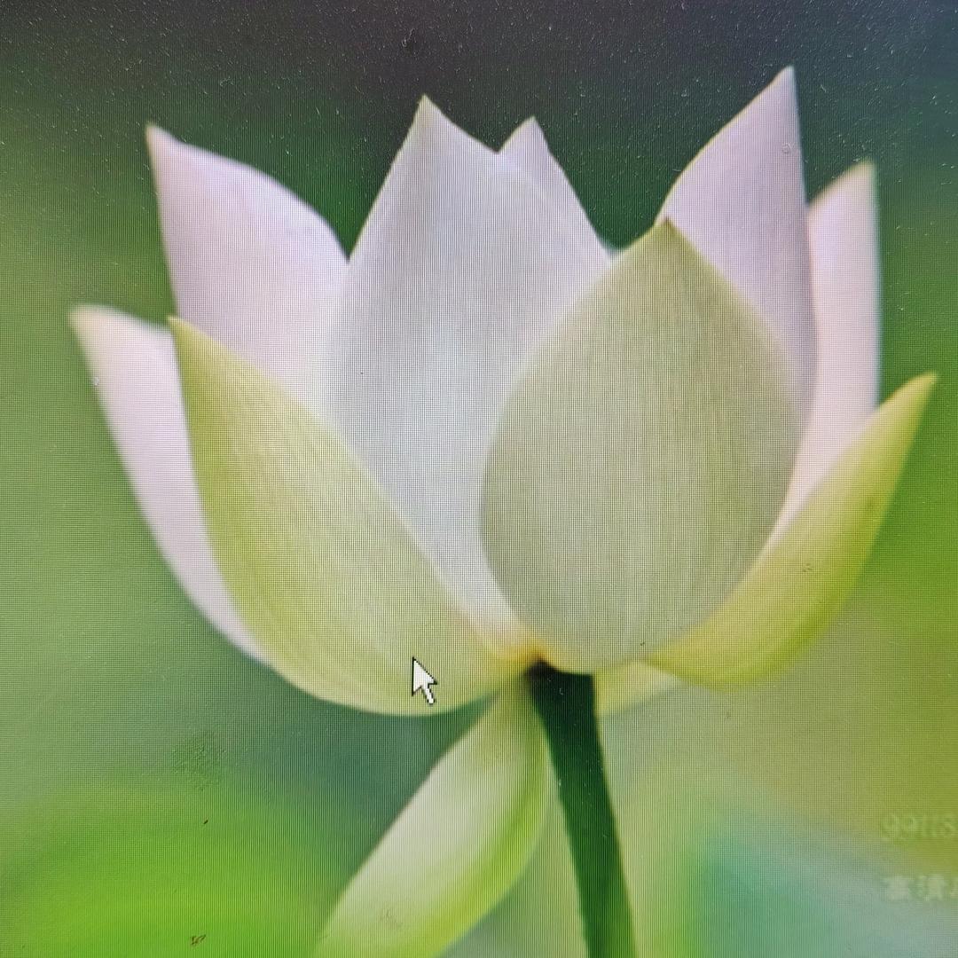 星际永恒