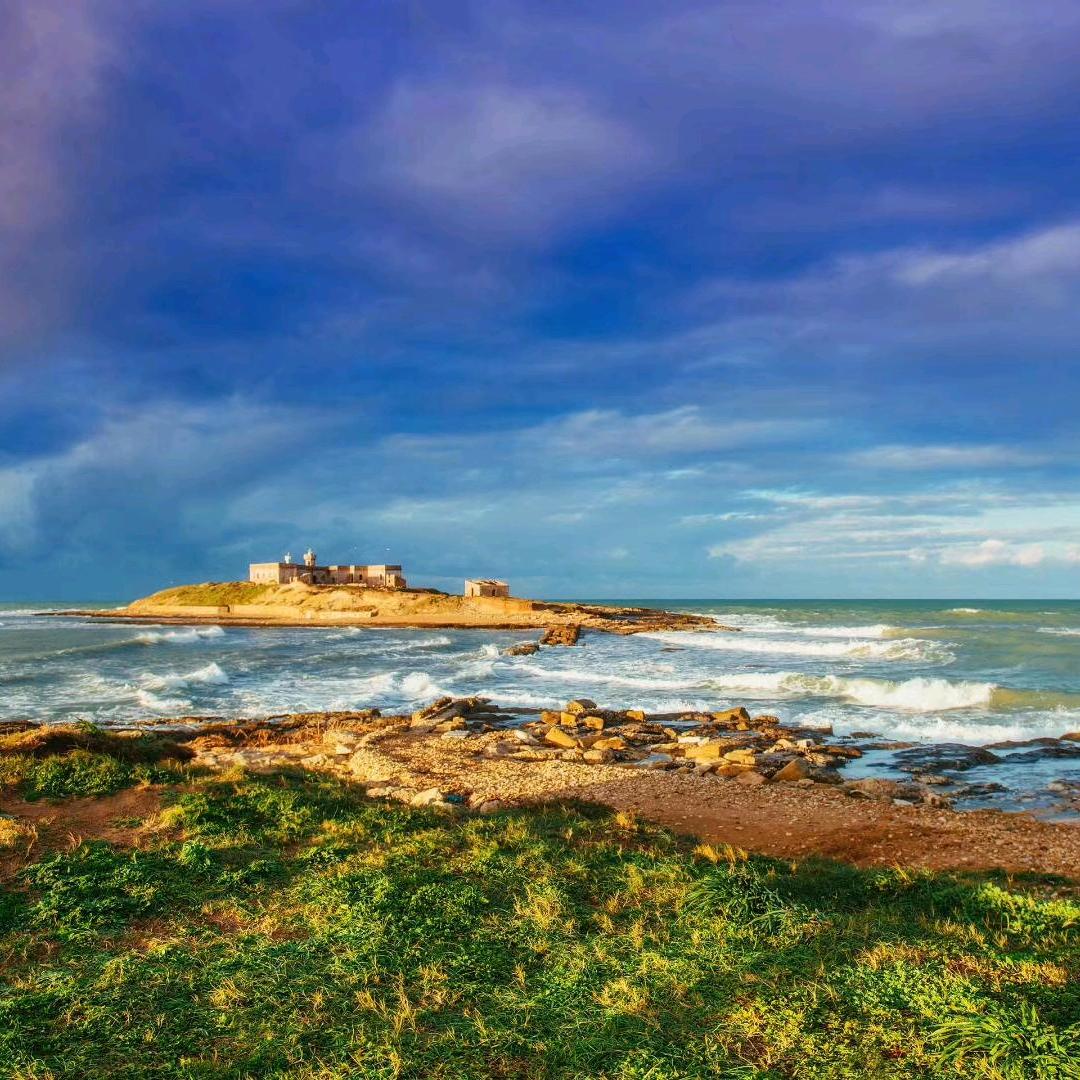 看看你🌷🌸_253791014